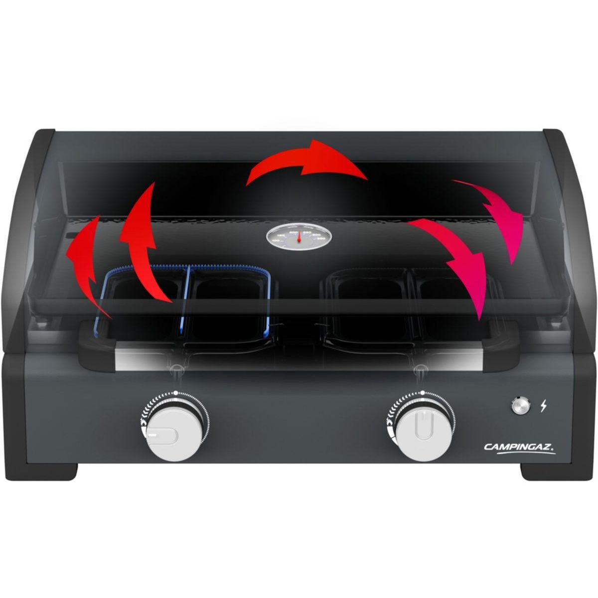 CAMPINGAZ Plancha gaz Gaz Master 2 Pro plaque Inox