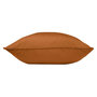 Voir la diapositive 2 : Paris Prix Coussin Déco  Essentiel  60x60cm Camel