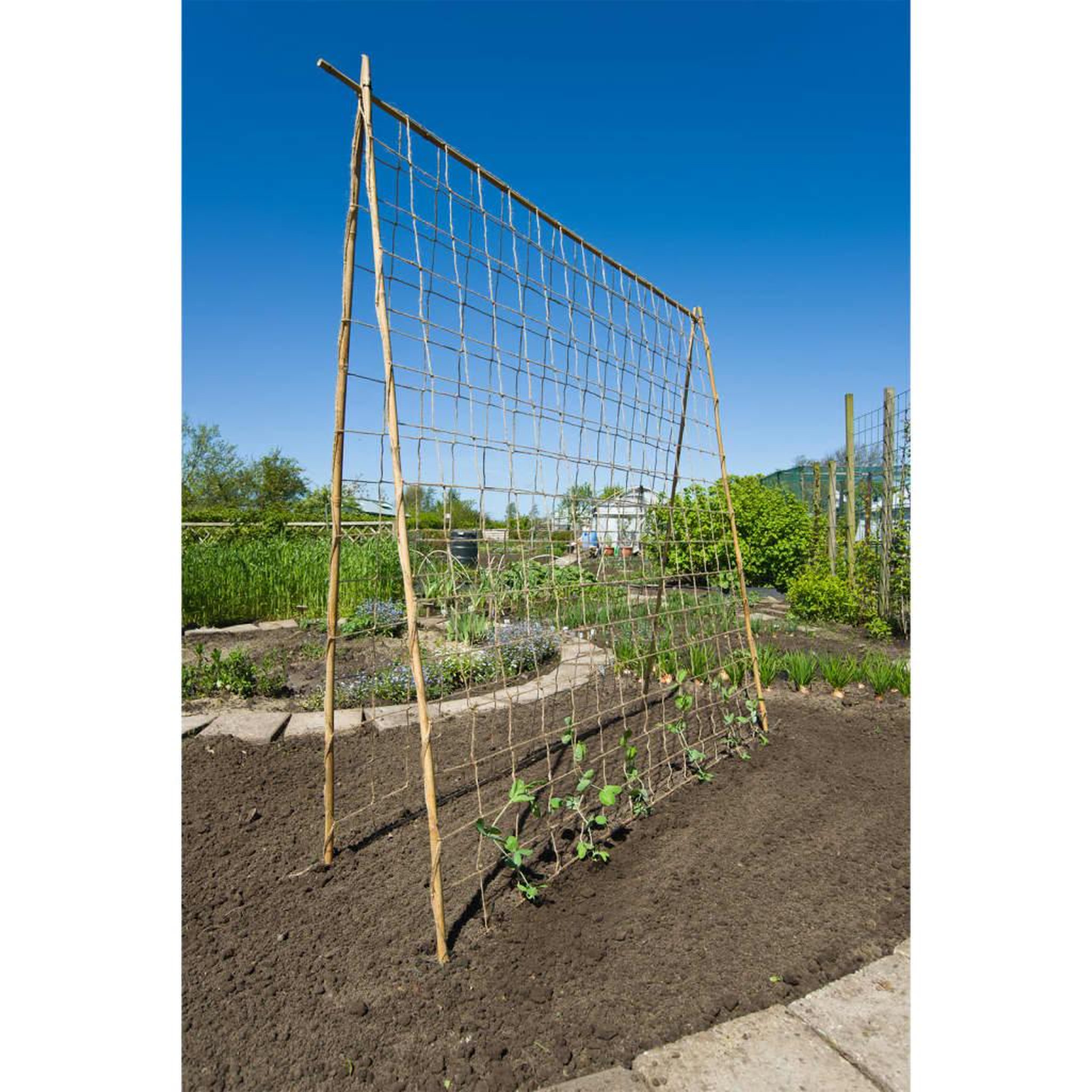 Voir la diapositive 3 : NATURE Nature Filet pour plantes grimpantes en jute 1x3 m naturel