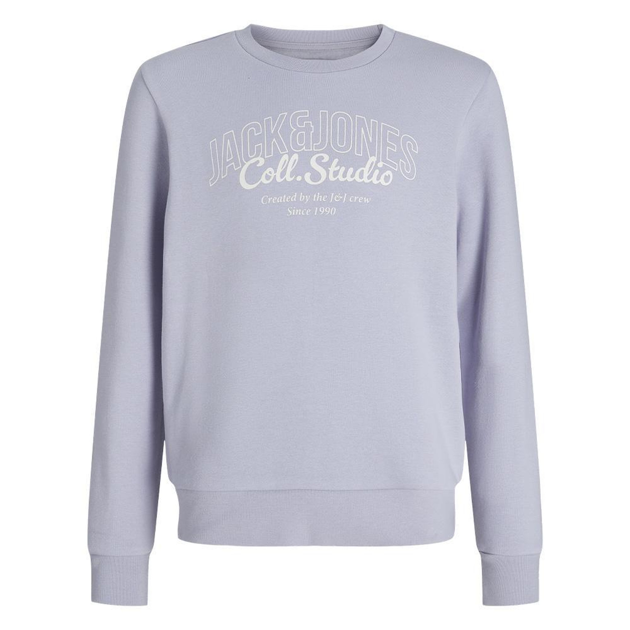 Jack & Jones Sweat Mauve Garçon Jack & Jones Makoto. Coloris disponibles : Violet