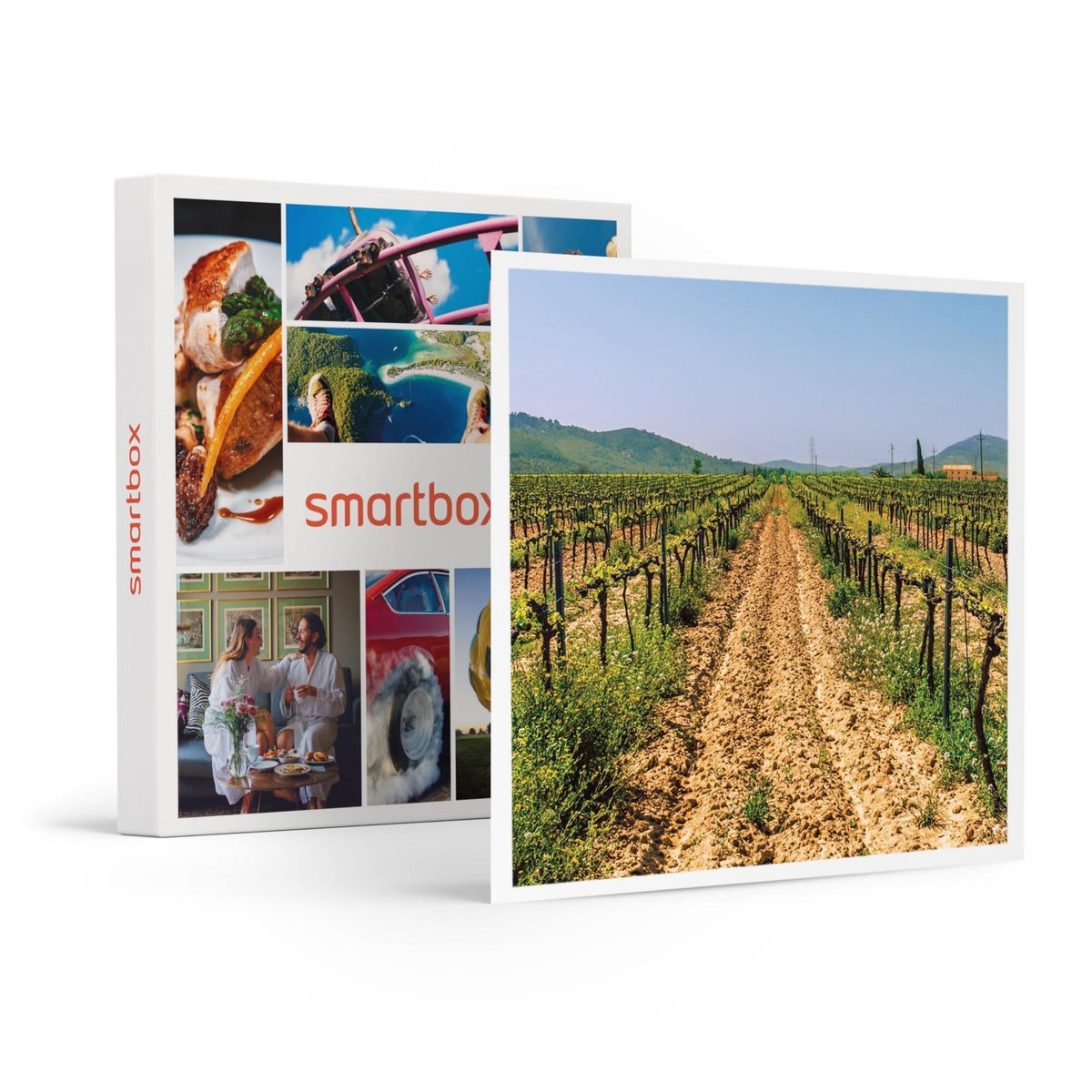 Smartbox Visite du vignoble de la Bastide des oliviers et de sa cave avec dégustation pour 2 - Coffret Cadeau Gastronomie
