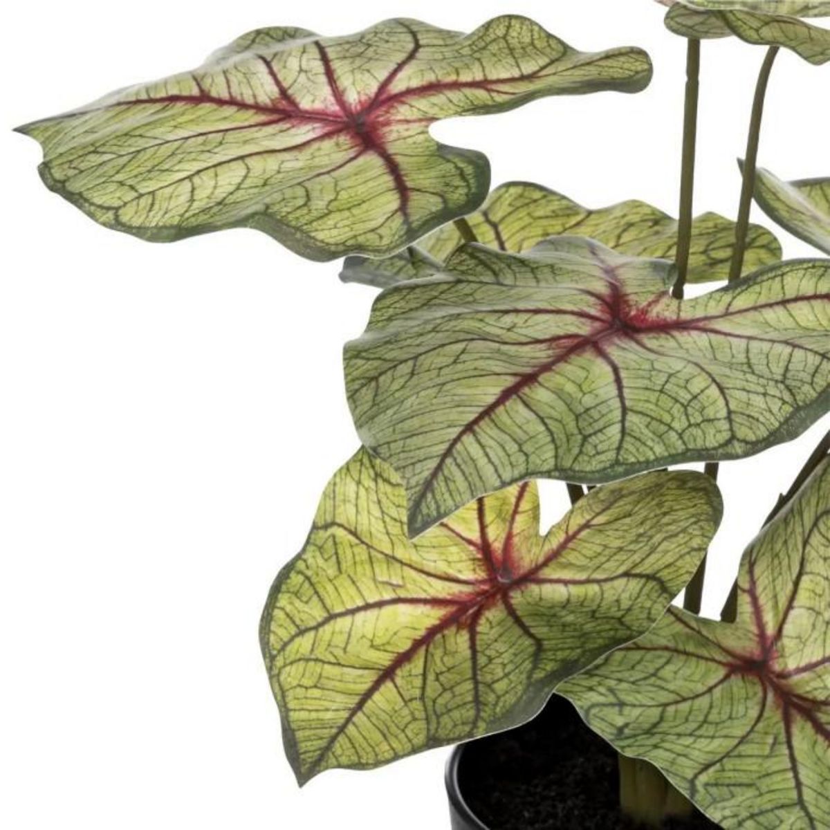ATMOSPHERA Plante Artificielle en Pot  Caladium  41cm Vert Clair