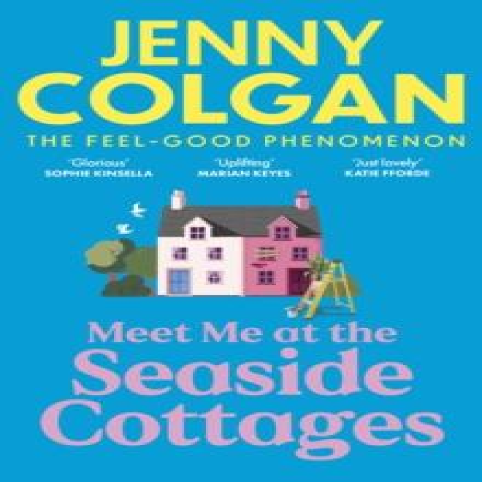 LIVRES Meet Me at the Seaside Cottages : escape to the sea with the brand new novel from the feel-good phenomenon!