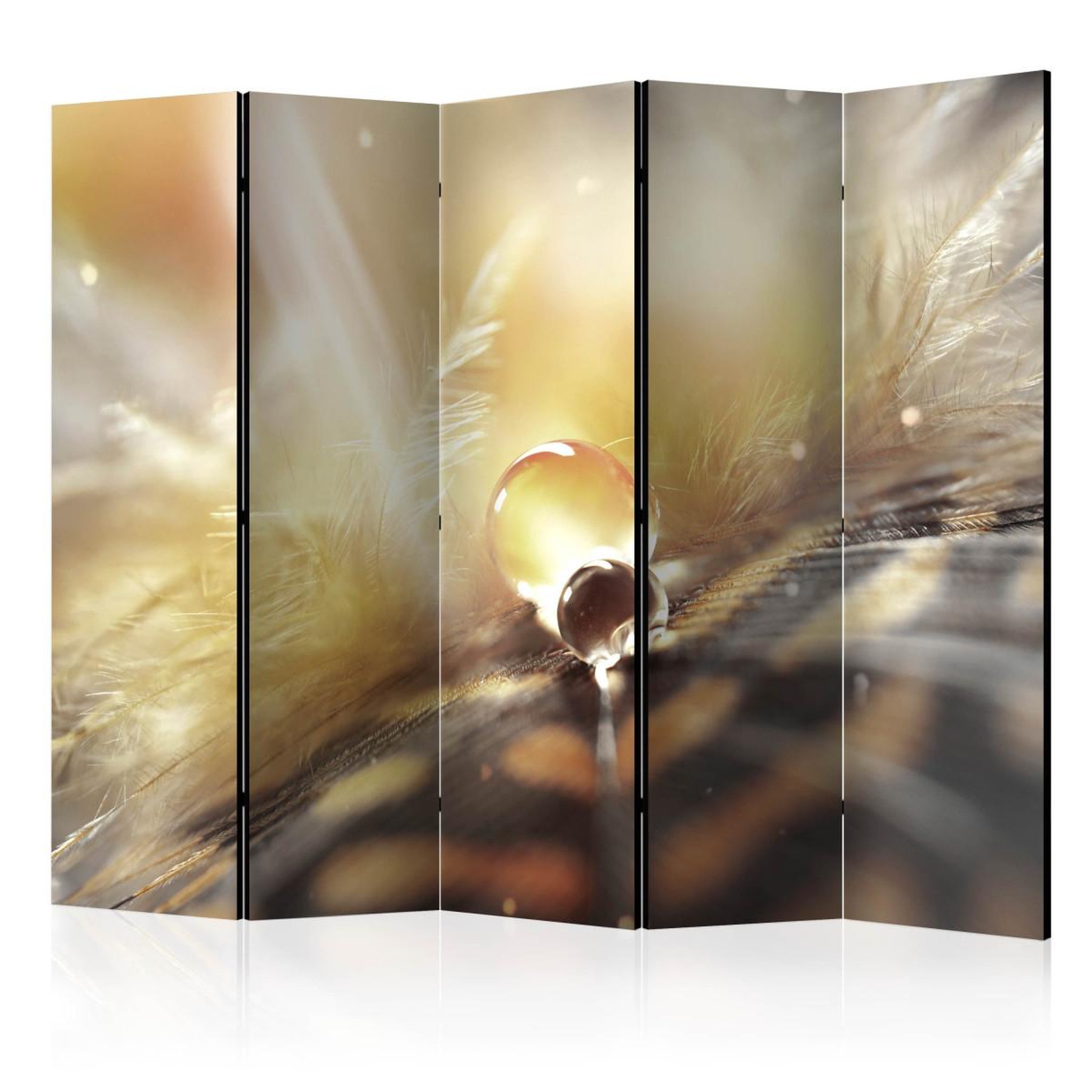Paris Prix Paravent 5 volets  magic feather  172x225cm