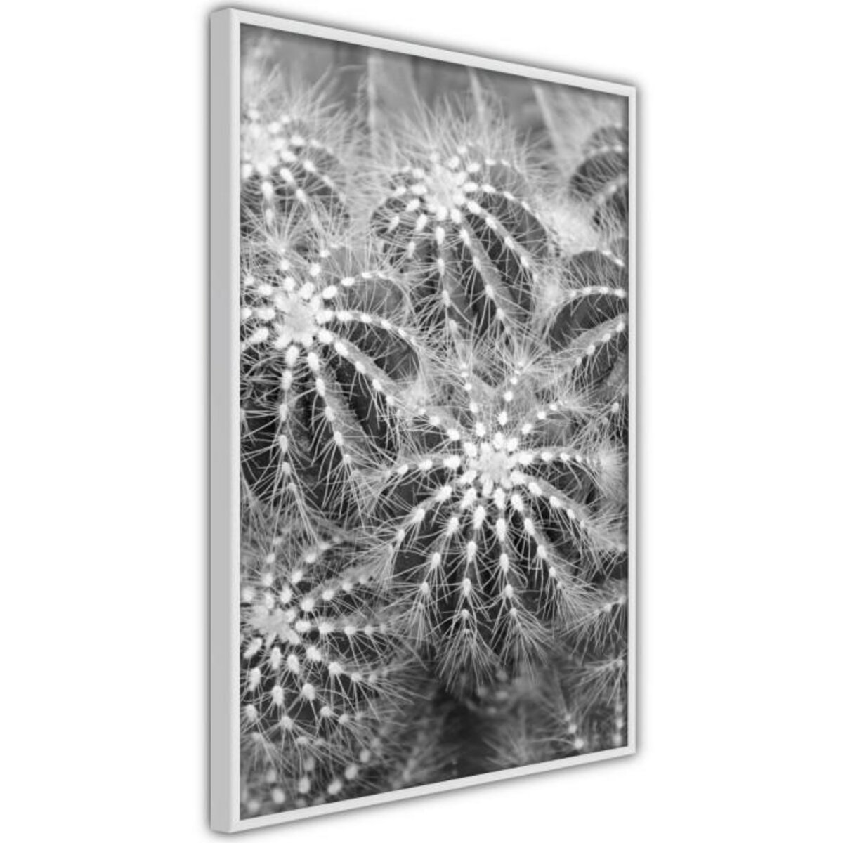 Paris Prix Affiche Murale Encadrée  Do Not Touch