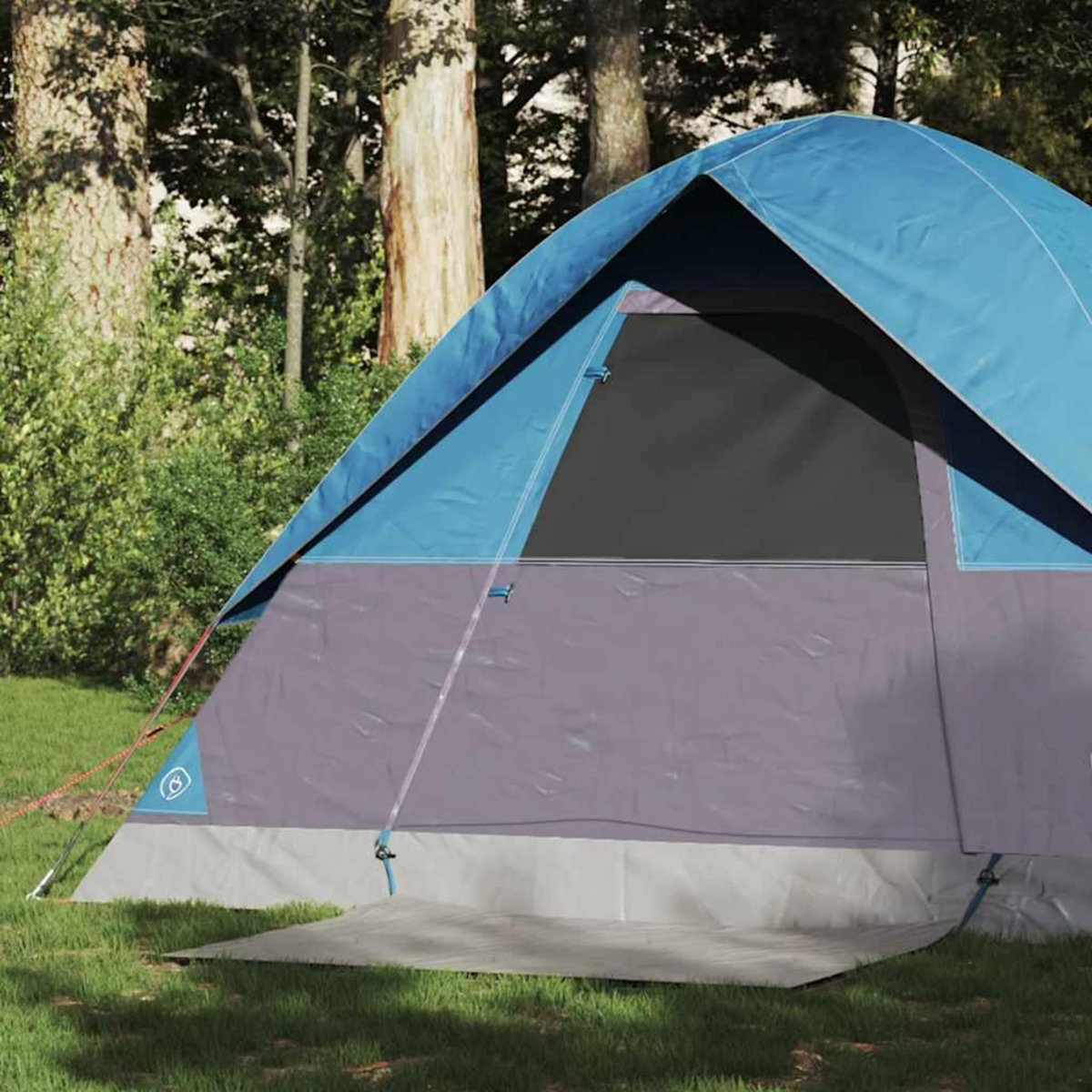 VIDAXL Tente de camping a dome 2 personnes bleu impermeable