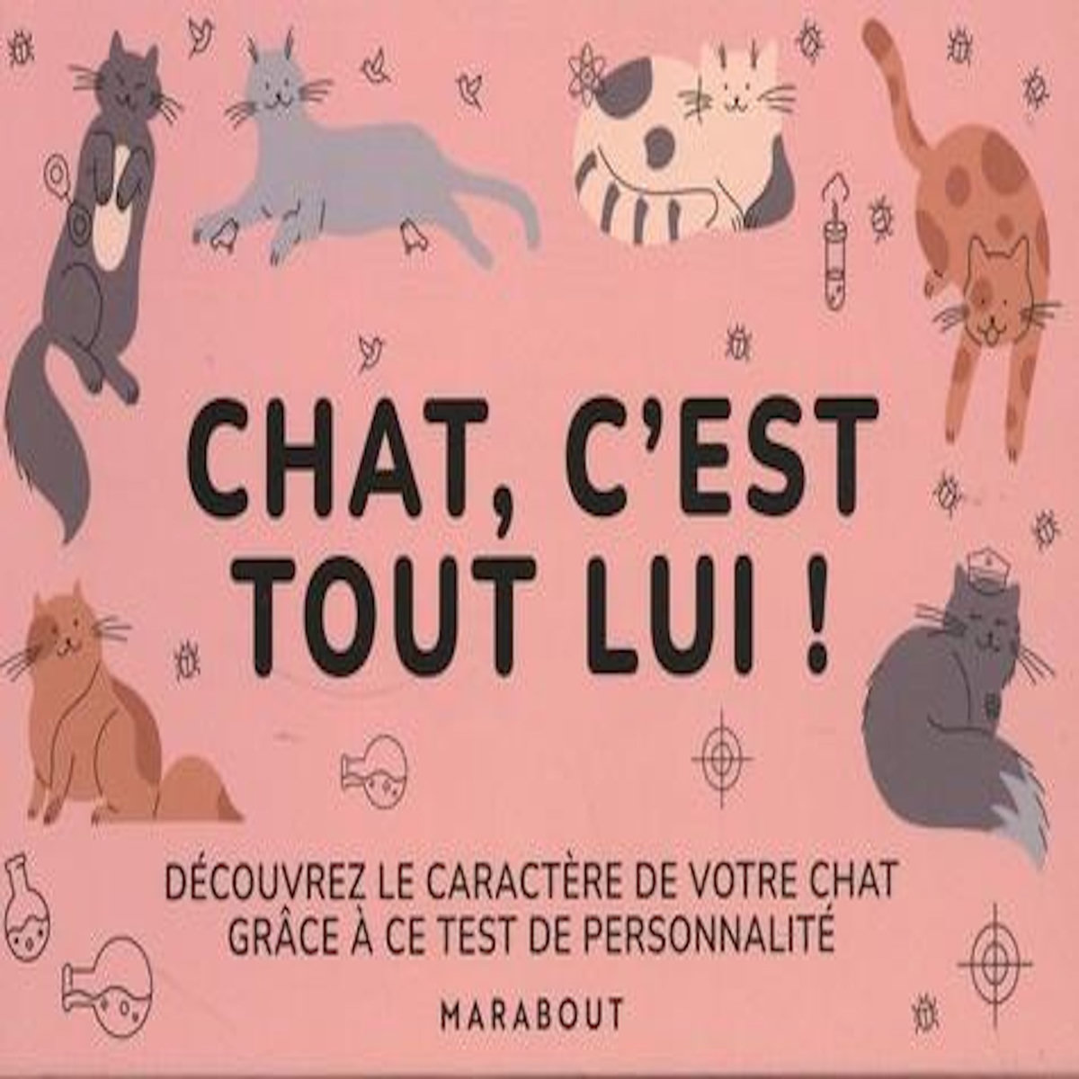 CHAT, C'EST TOUT LUI !, Marabout