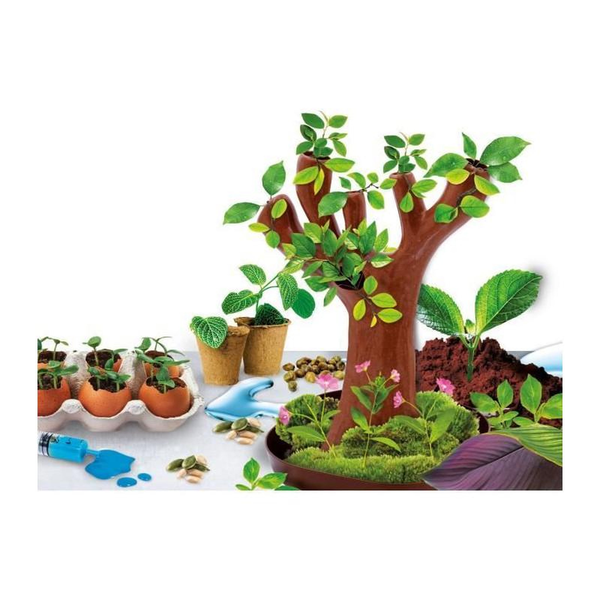 Voir la diapositive 2 : LISCIANI GIOCHI Génius Science - jeu scientifique - la botanique - LISCIANI