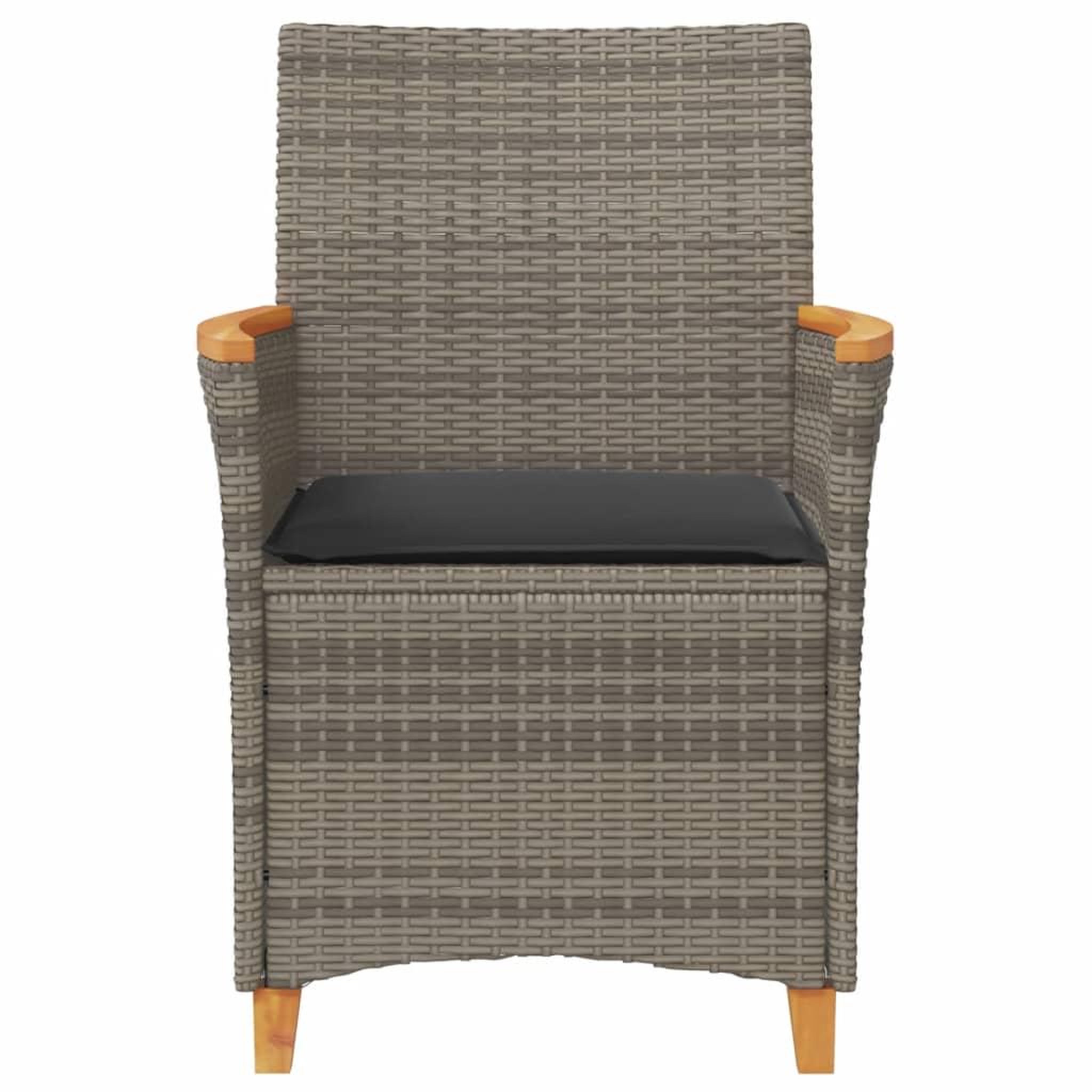 Voir la diapositive 5 : VIDAXL Chaises de jardin coussins lot de 2 gris resine tressee et bois