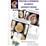 FICHES D'AIDE A LA DETERMINATION DES AMMONITES JURASSIQUES ET CRETACEES. TOME 2, AVEC 1 CD-ROM, Jaffré René