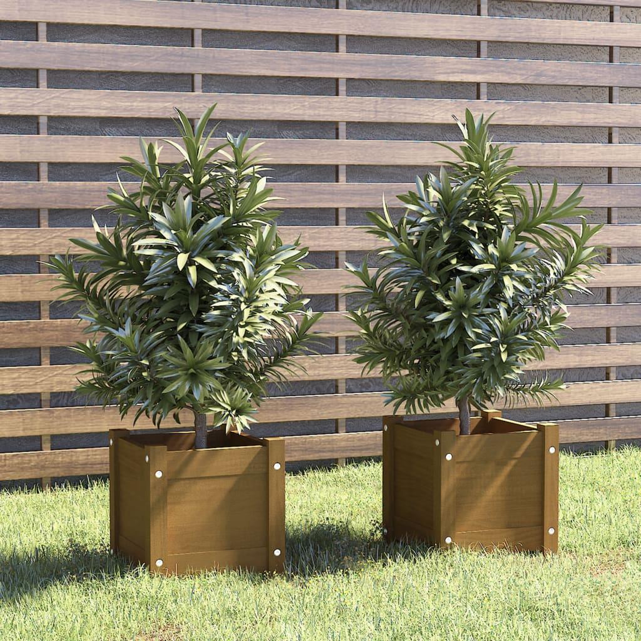 Voir la diapositive 1 : VIDAXL Jardinieres d'exterieur 2pcs Marron miel 31x31x31cm Bois de pin