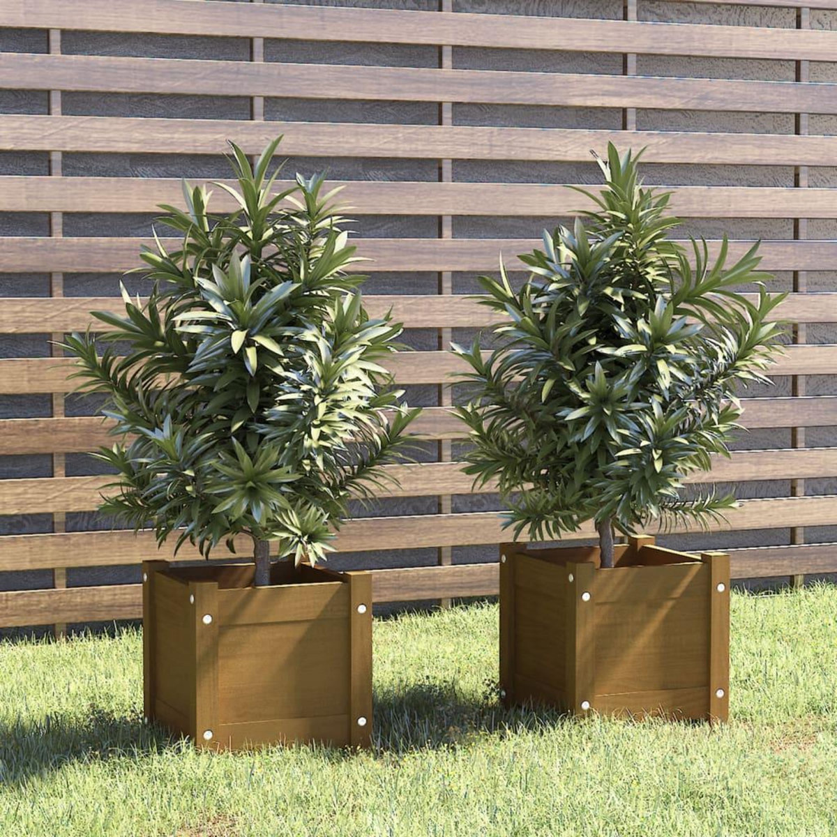VIDAXL Jardinieres d'exterieur 2pcs Marron miel 31x31x31cm Bois de pin