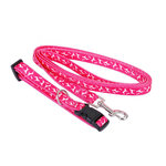 DIVERS Collier laisse - Taille S. Coloris disponibles : Vert