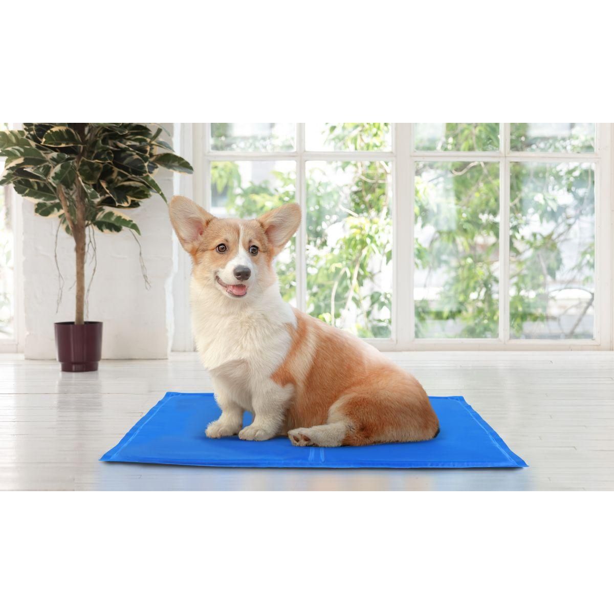 Idomya E. Tapis rafraichissant pour chien 40x50 cm