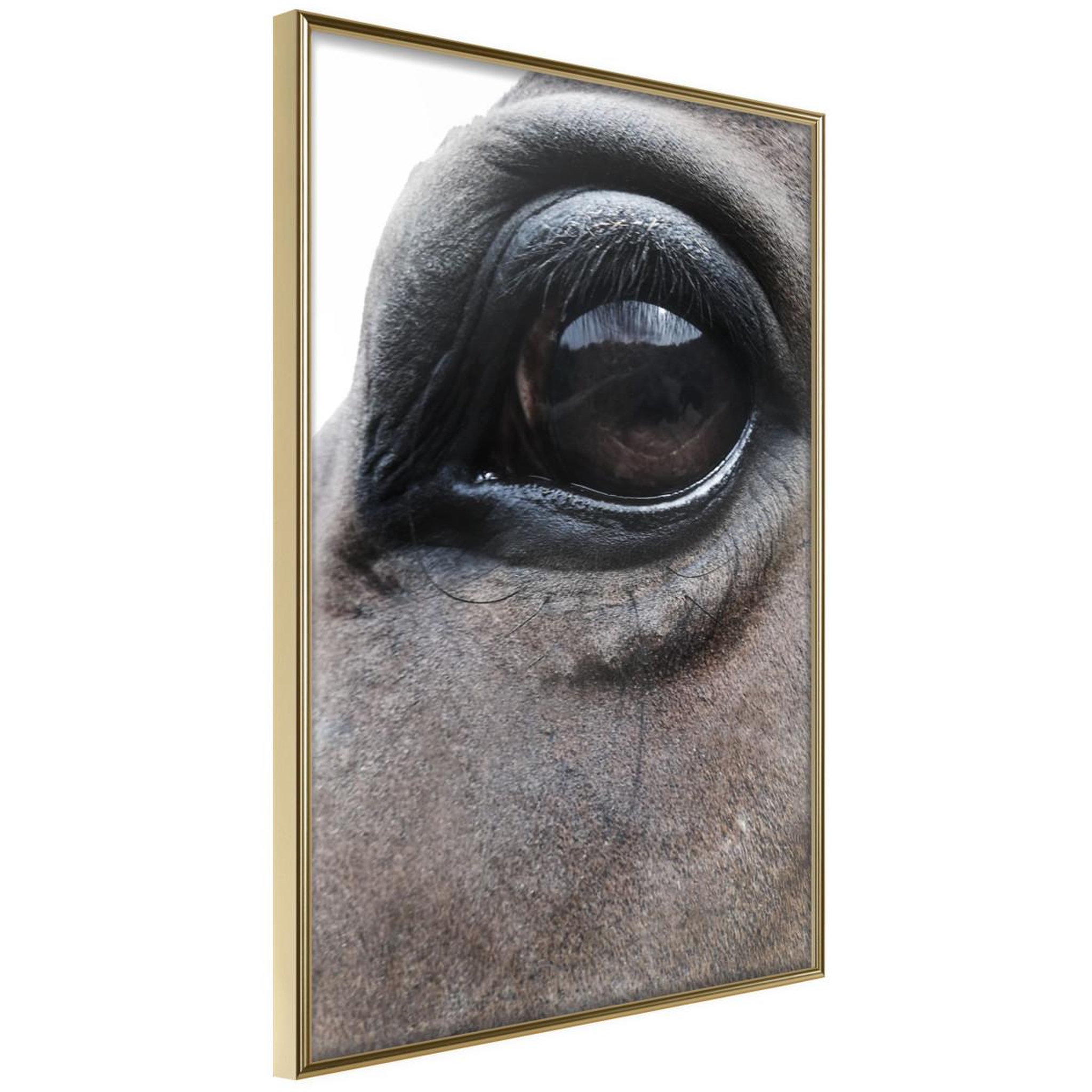 Paris Prix Affiche murale encadrée  gentle eyes
