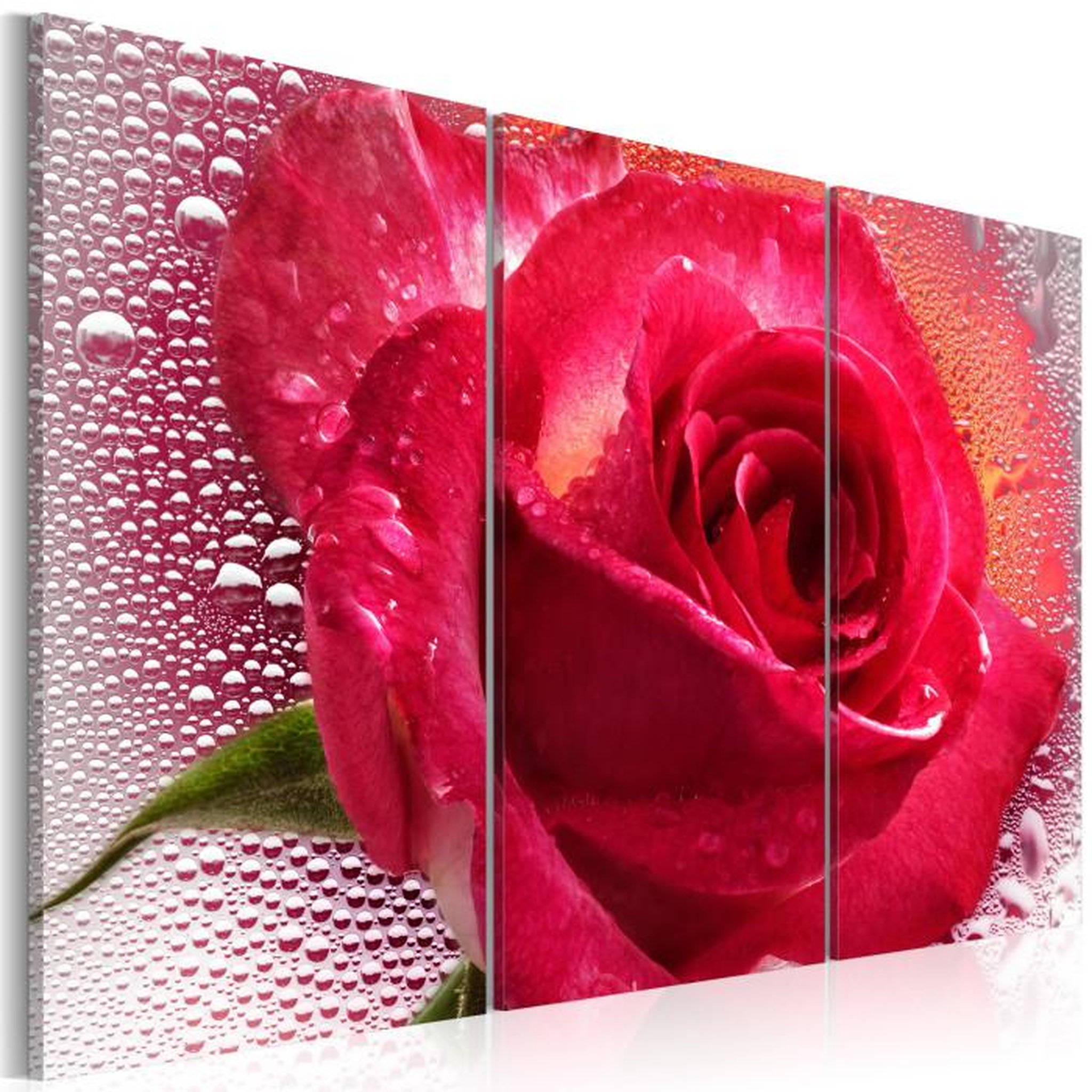 Paris Prix Tableau Imprimé 3 Panneaux  Lady Rose. Coloris disponibles : Multicolore