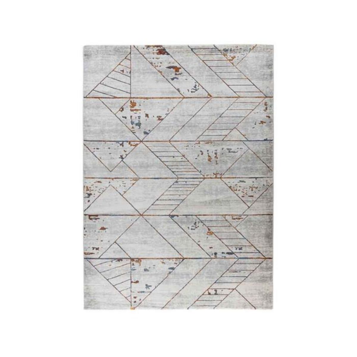 Paris Prix Tapis Déco Tissé Abstrait  Lorin II  Gris