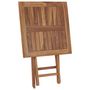 Voir la diapositive 5 : VIDAXL Table pliable de jardin 60x60x75 cm Bois de teck solide