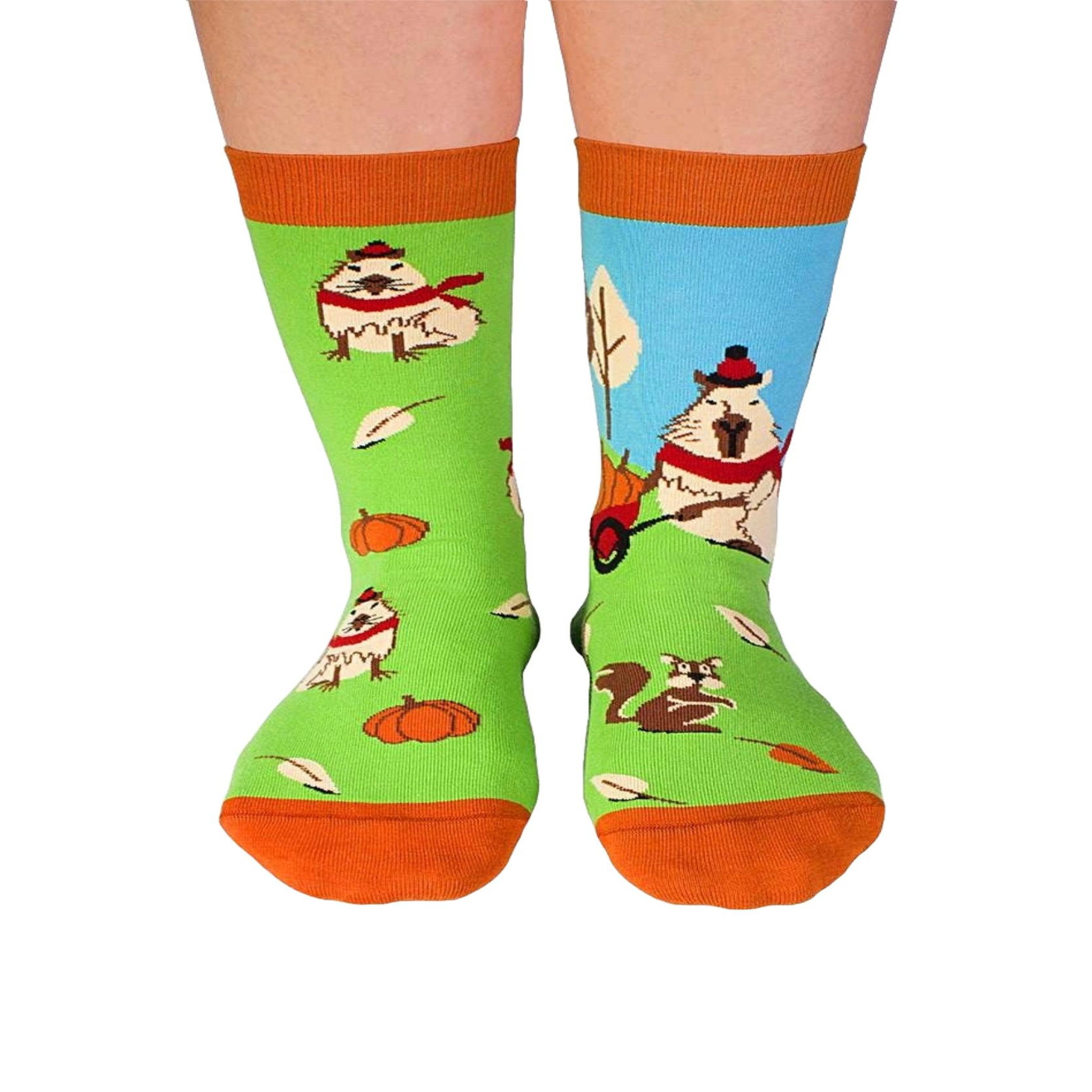 PIRIN HILL Chaussettes arty georges le capybara - vert. Coloris disponibles : Multicolore