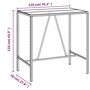 Voir la diapositive 6 : VIDAXL Table de bar et dessus en verre gris 110x70x110 cm poly rotin
