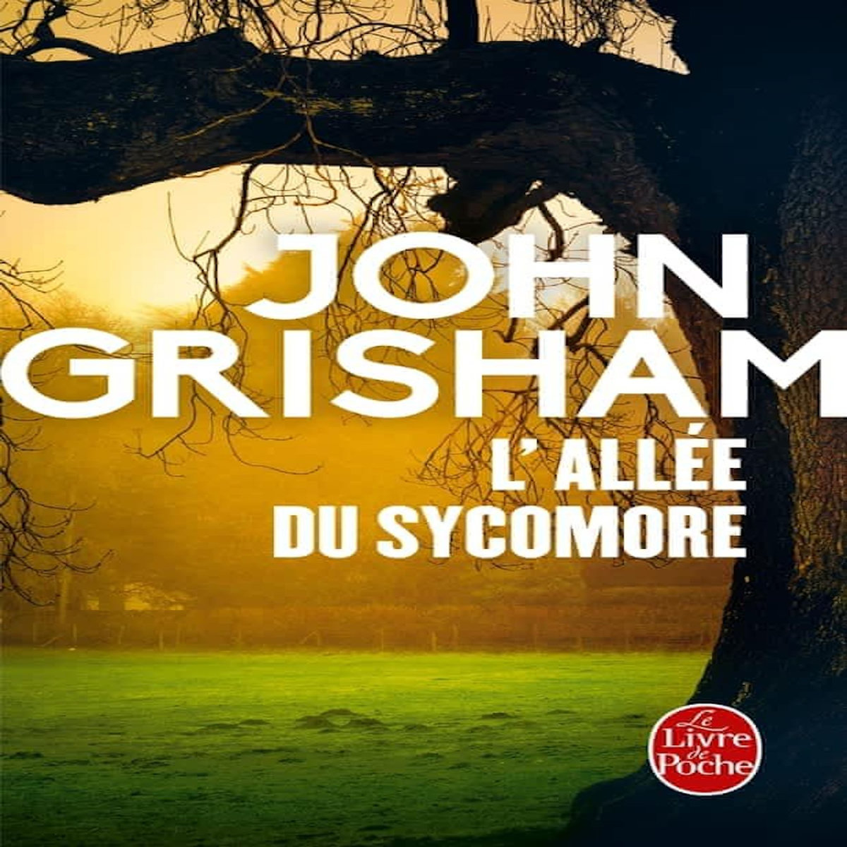 L'ALLEE DU SYCOMORE, Grisham John