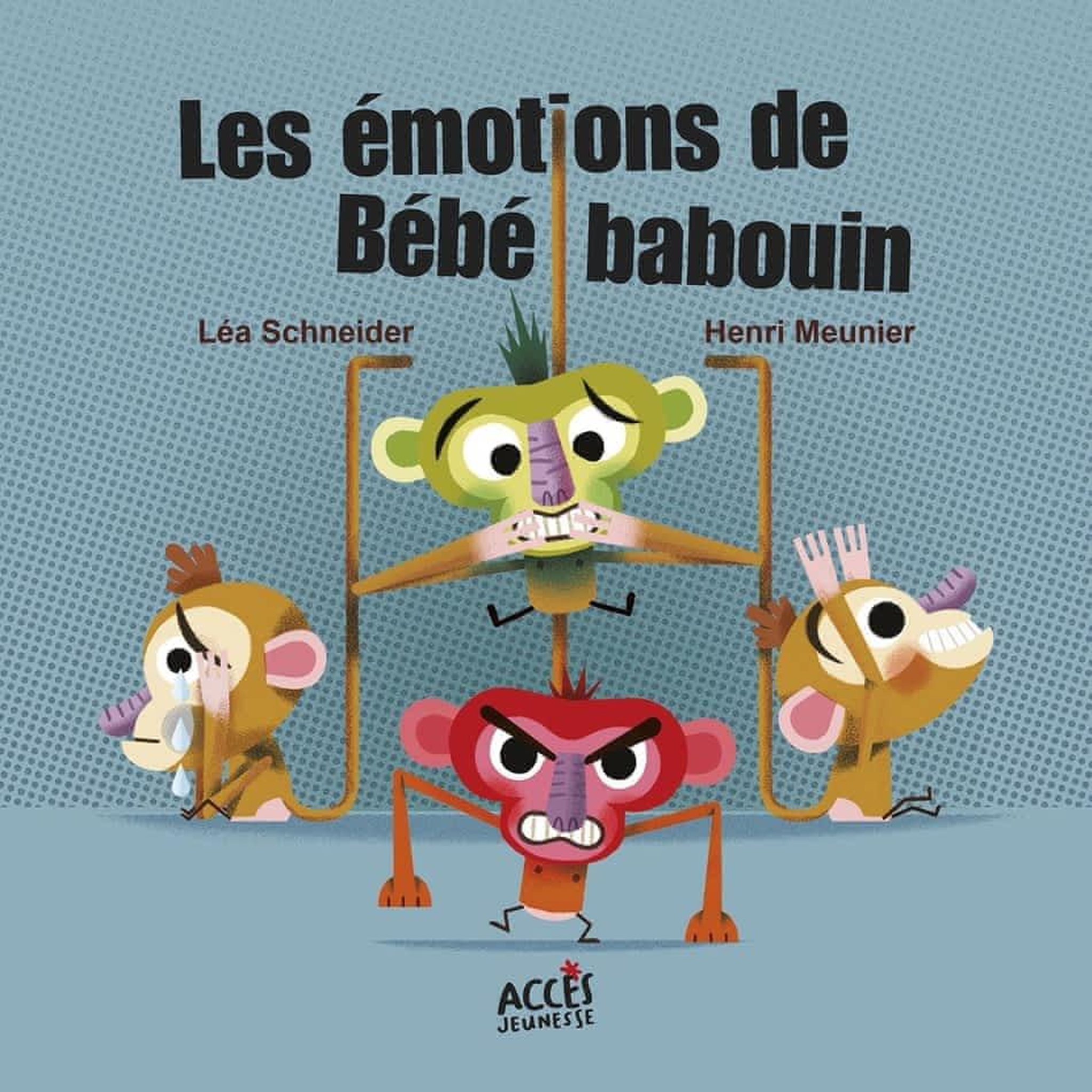 LES EMOTIONS DE BEBE BABOUIN, Schneider Léa