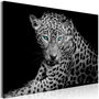 Voir la diapositive 1 : Paris Prix Tableau Imprimé  Leopard Portrait Wide
