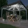 VIDAXL Tonnelle avec guirlande lumineuse LED 300x300 cm Anthracite