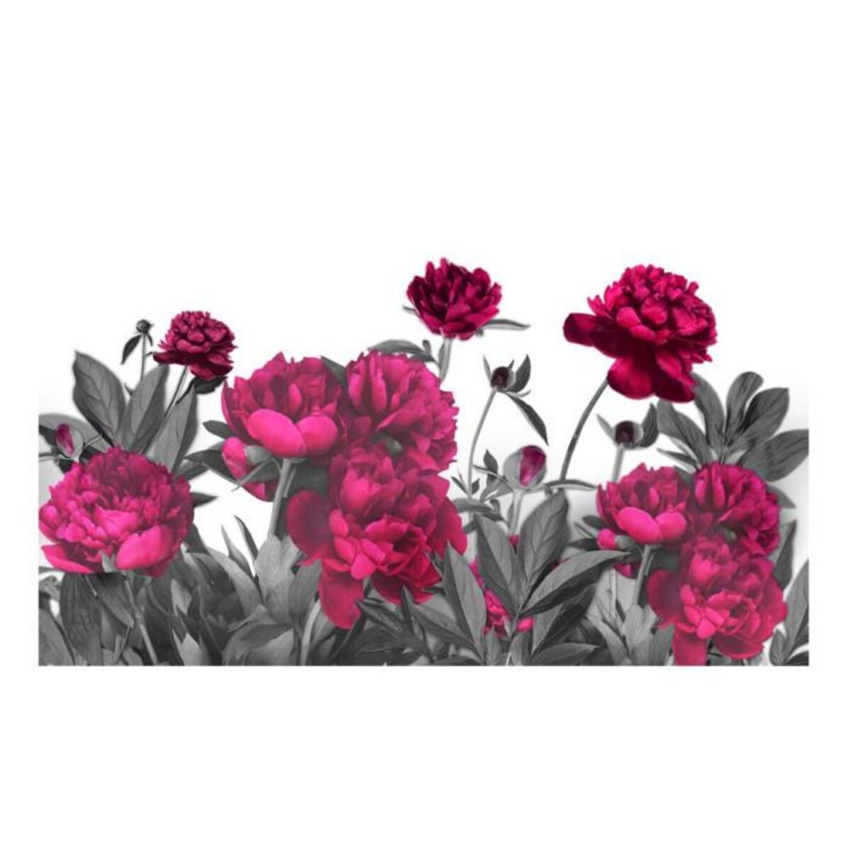 Paris Prix Papier Peint XXL  Lush Meadow  280x500cm