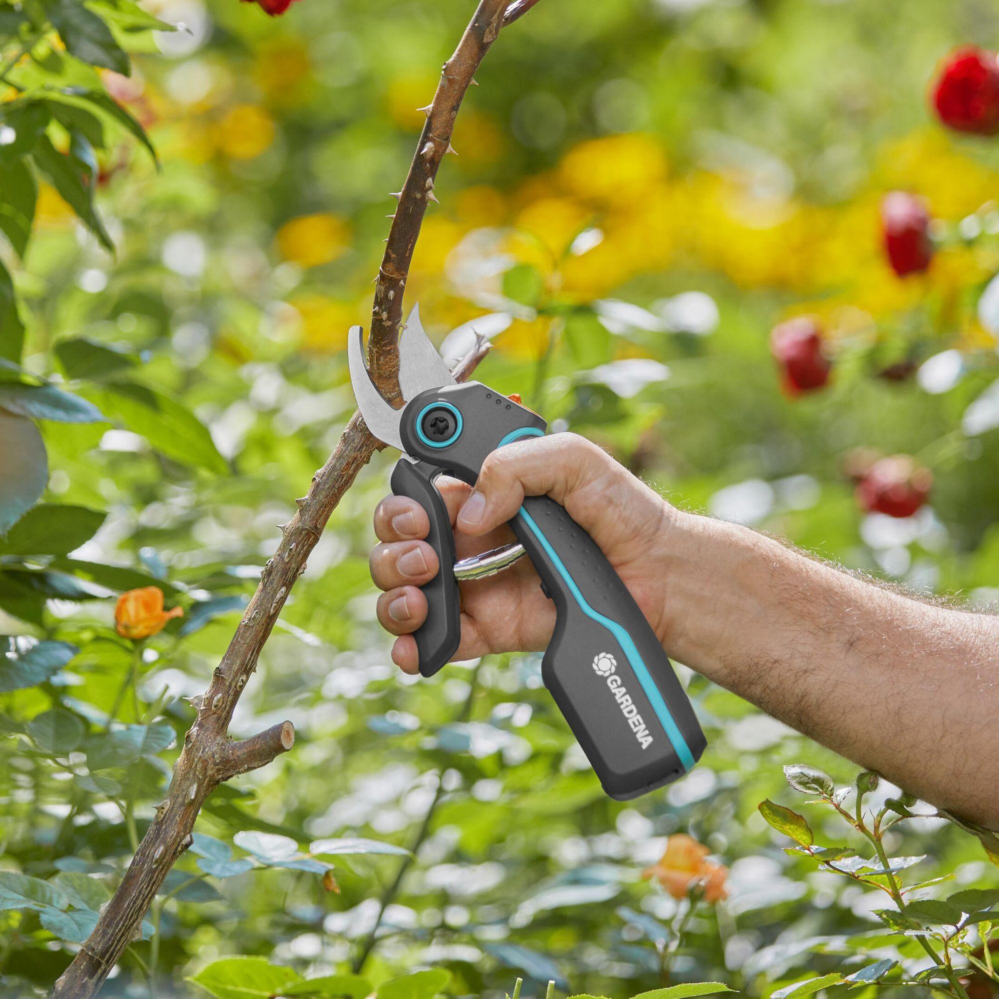 Voir la diapositive 3 : Gardena Sécateur à batterie AssistCut Gardena