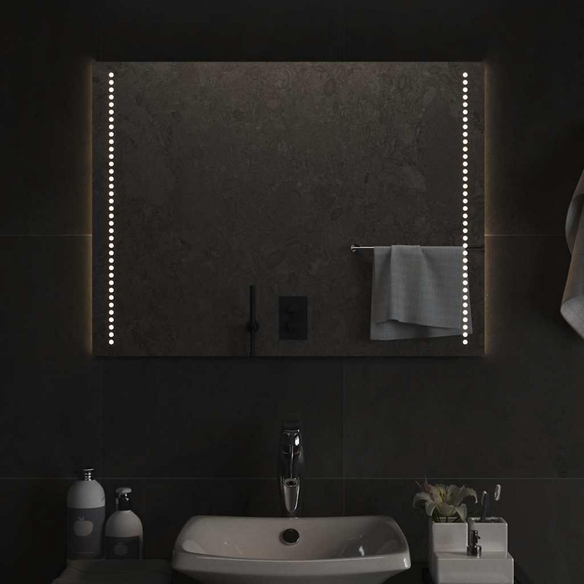 VIDAXL Miroir de salle de bain a LED 80x60 cm
