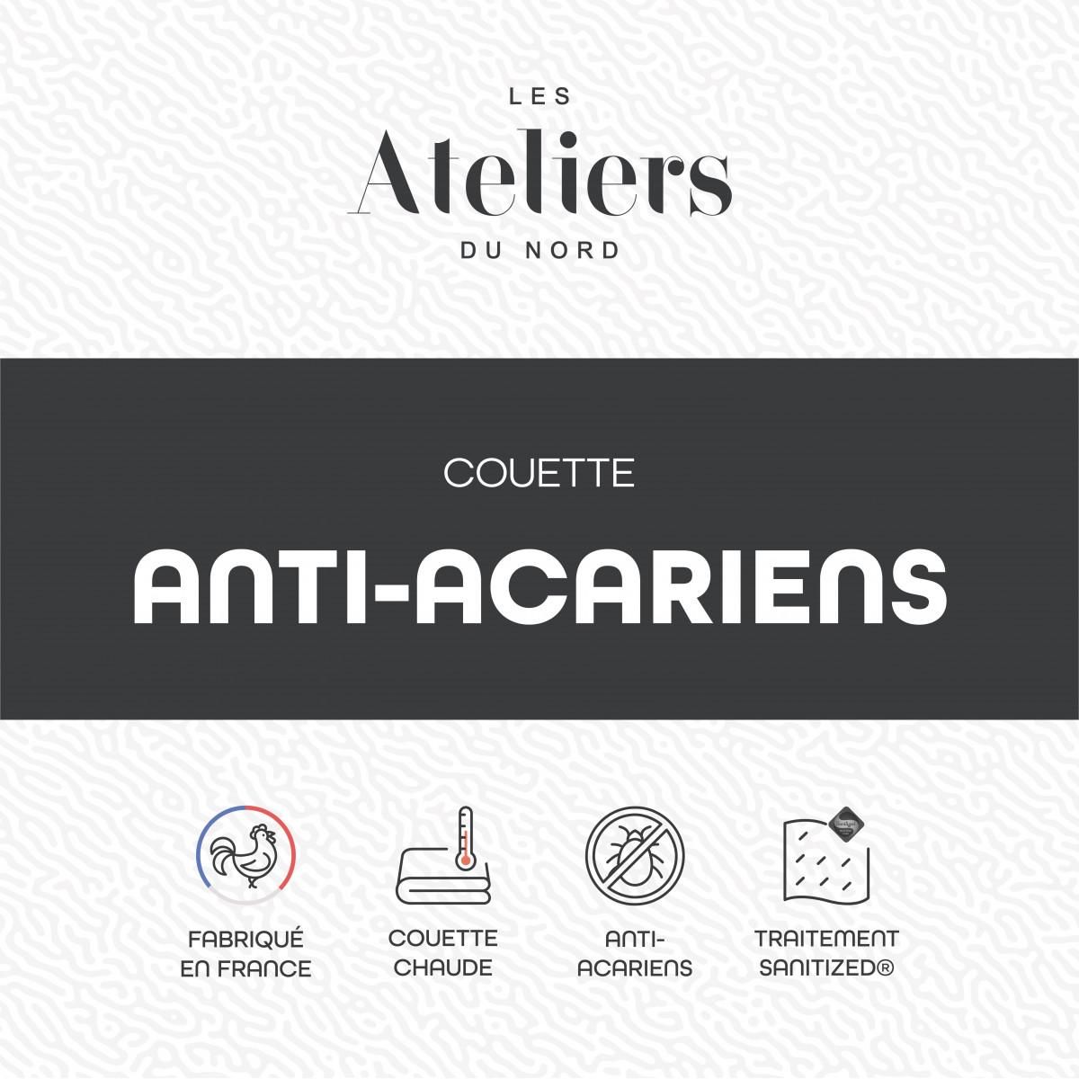 ATELIERS DU NORD Couette Chaude Anti-acariens