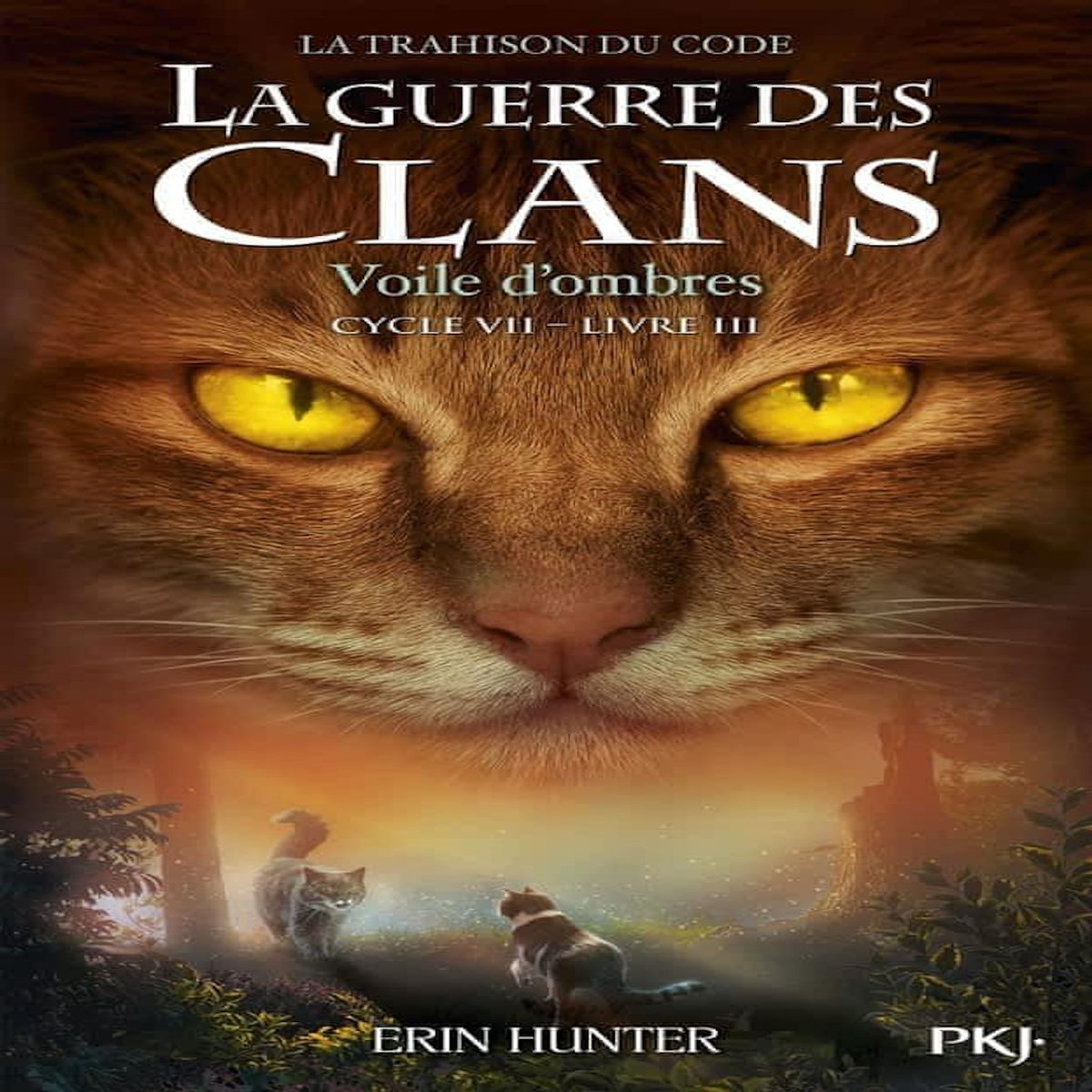 LA GUERRE DES CLANS : LA TRAHISON DU CODE (CYCLE VII) TOME 3 : VOILE D'OMBRES, Hunter Erin