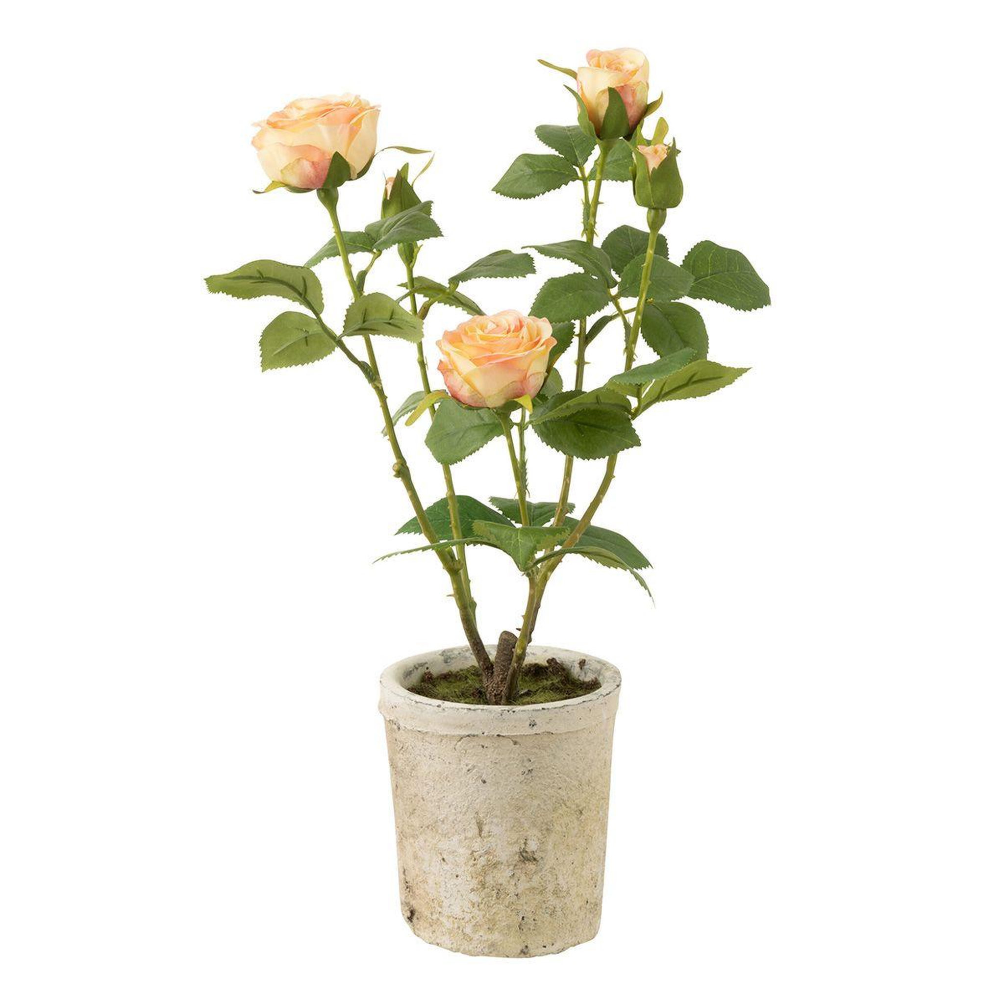 Voir la diapositive 1 : J-LINE Plante Artificielle en Pot  Rosier  38cm Jaune