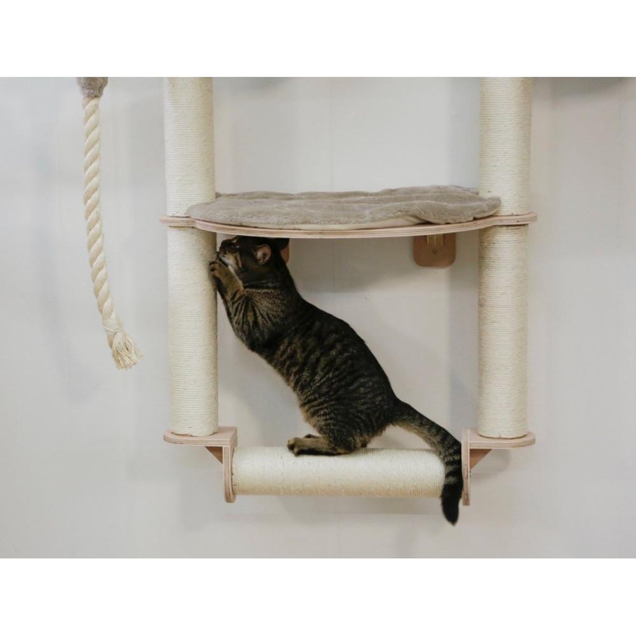 Voir la diapositive 2 : KERBL Arbre a chat mural - H. 138 cm - Dolomit Grappa Pro - KERBL - Taupe