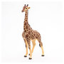 Voir la diapositive 5 : Papo 50149 girafe mâle figurine