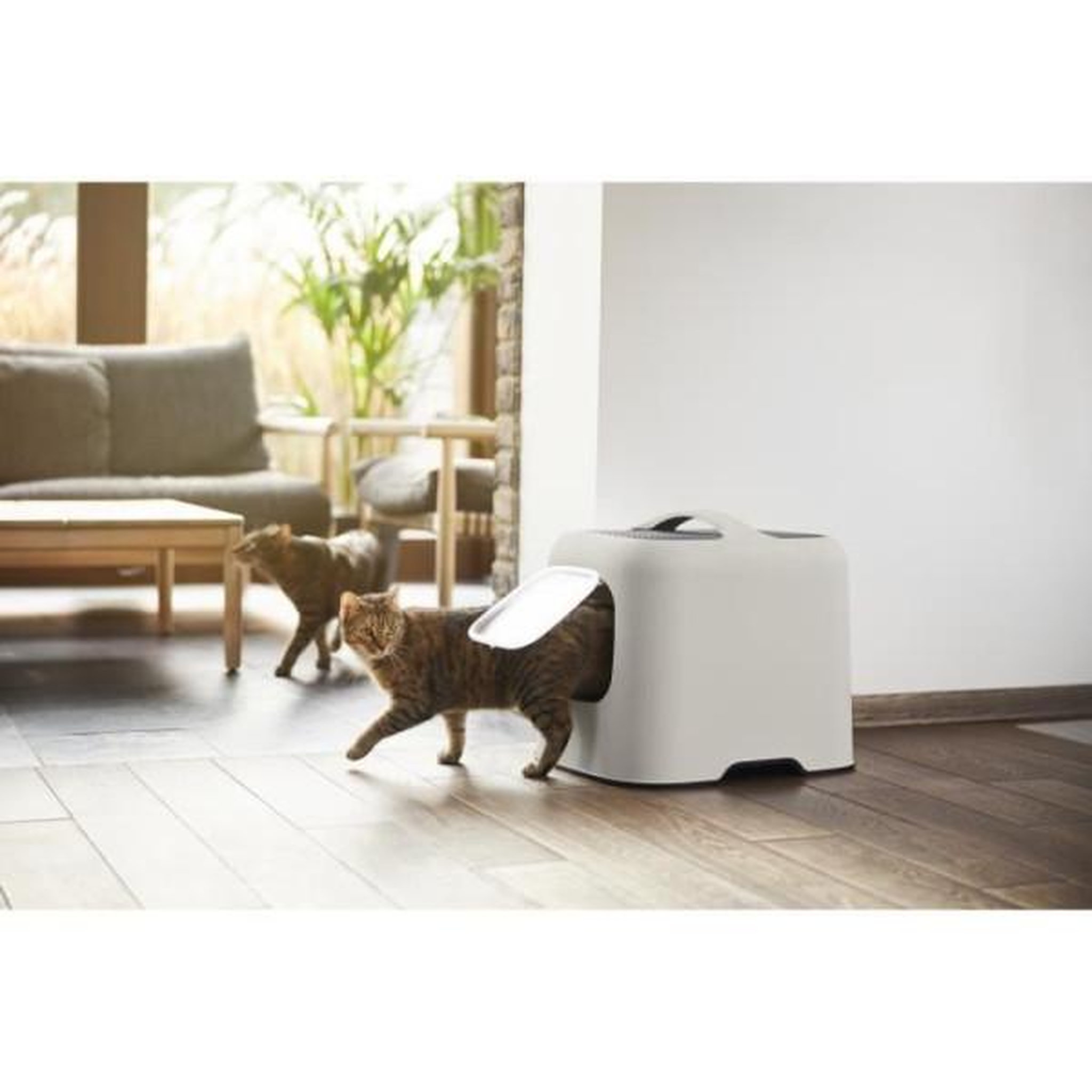 Voir la diapositive 3 : ROTHO Rotho - maison toilette pour chat 51 x 39 x 40 cm - bac a litiere - cappuccino