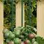 VIDAXL Piquets pour plantes de jardin 30 pcs vert 115 cm acier