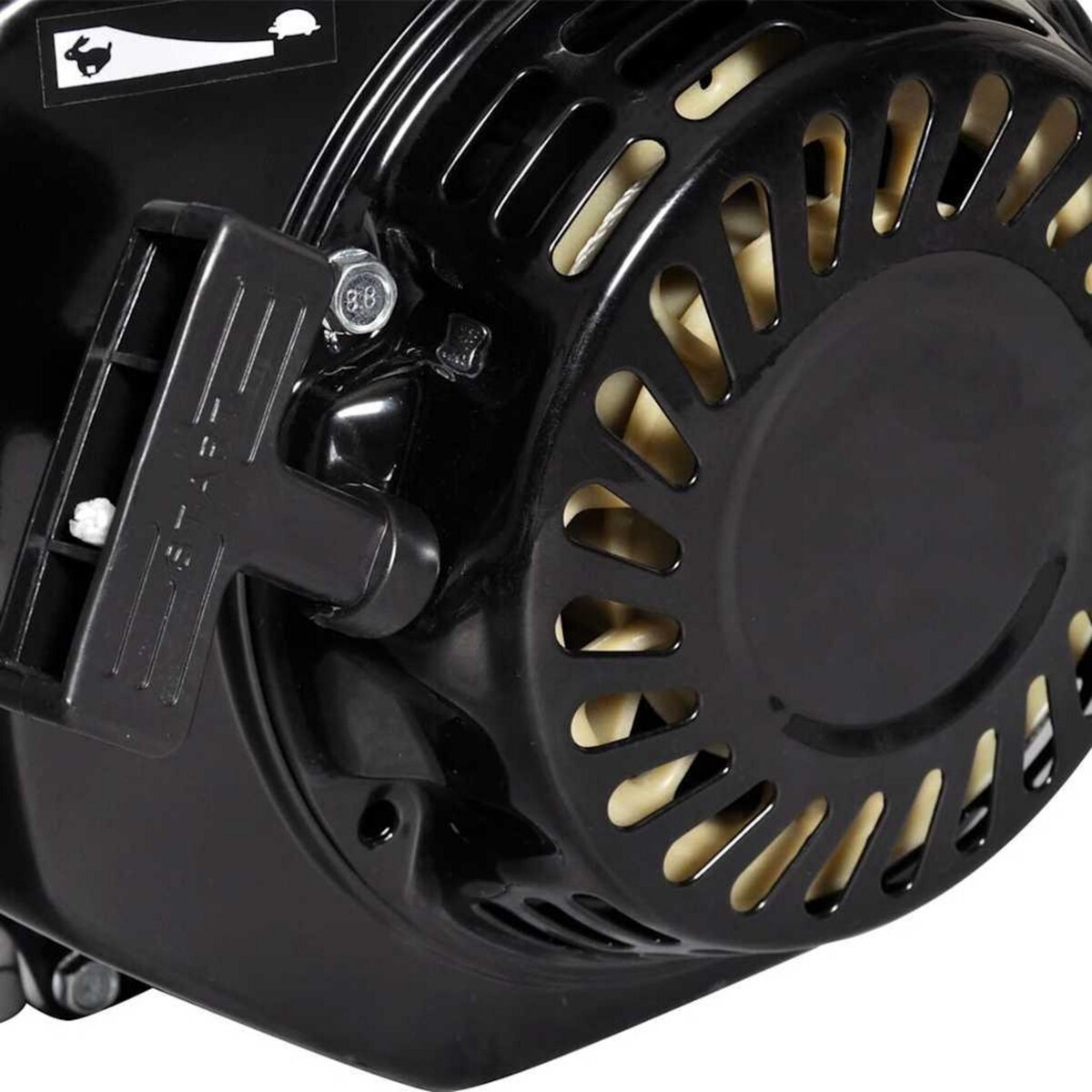 VIDAXL Moteur a essence 6,5 CH 4,8 kW Noir