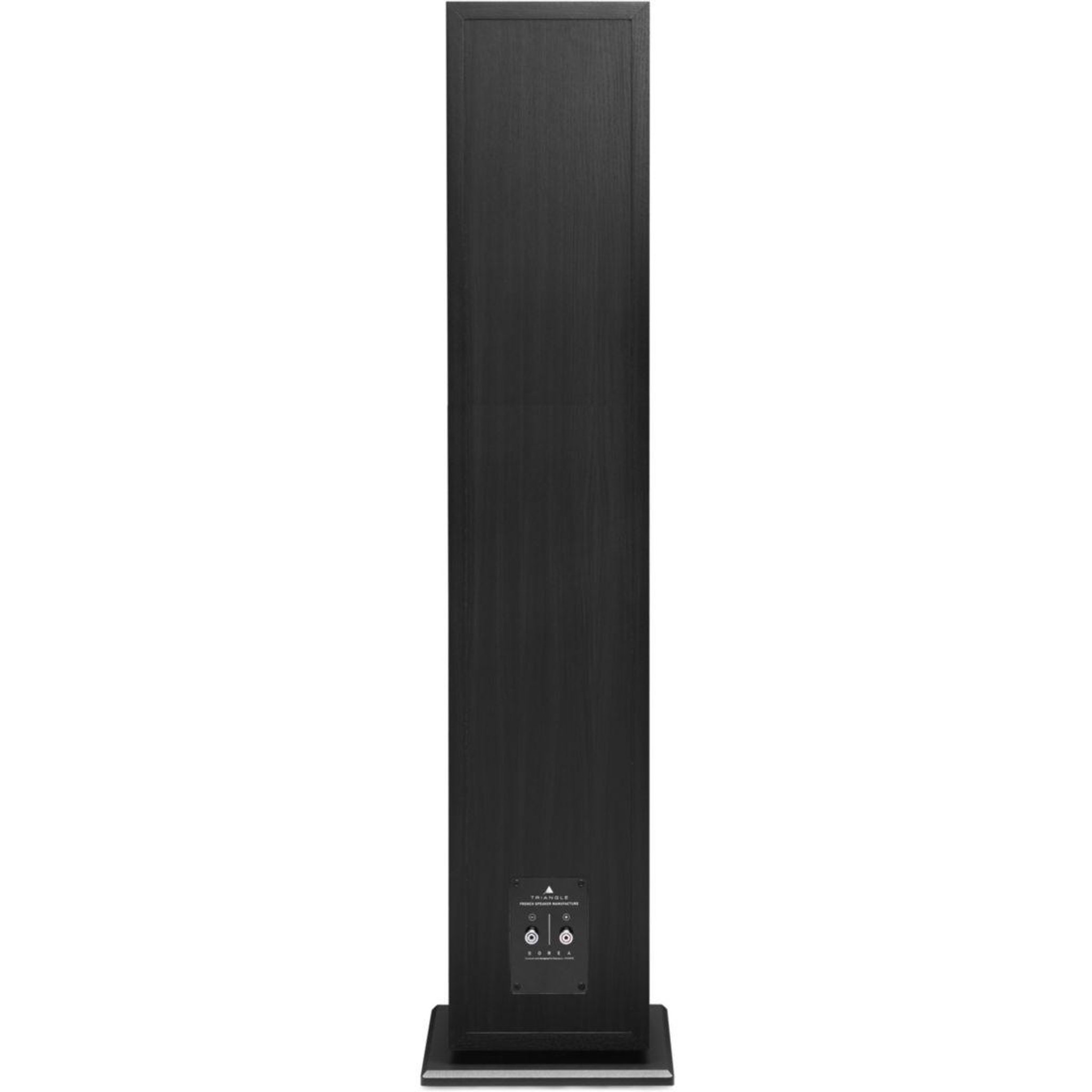 Voir la diapositive 2 : Triangle Enceinte colonne borea br09 noire (x1)