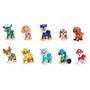 Voir la diapositive 2 : SPIN MASTER Figurines Multipacks 