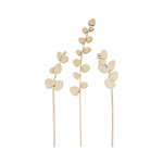 Rayher Tige d'eucalyptus en bois 20 cm