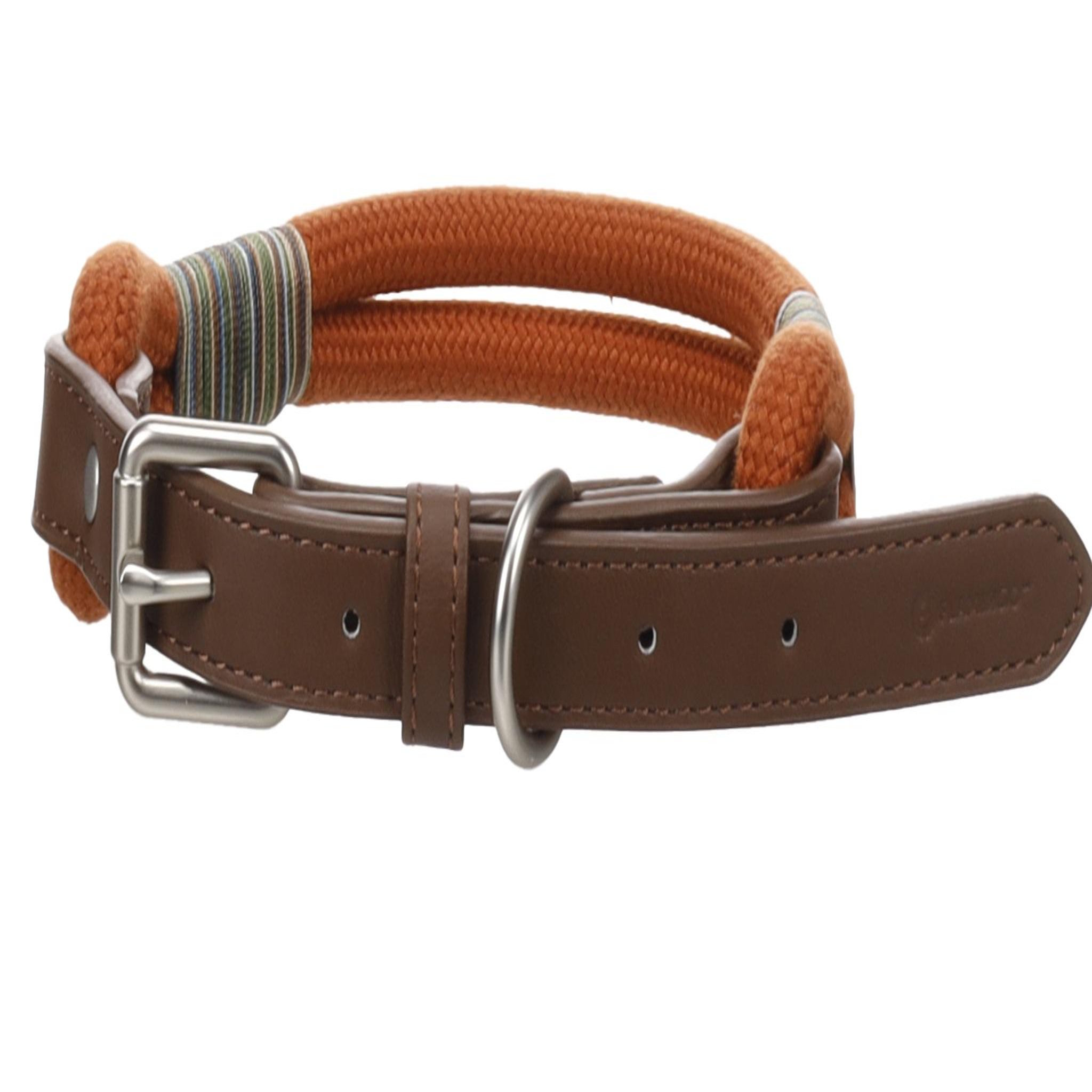 Voir la diapositive 2 : Eden Chien collier athos cognac