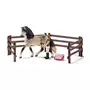 Schleich Kit de soin pour chevaux andalous - SCHLEICH - 42270 - A partir de 5 ans