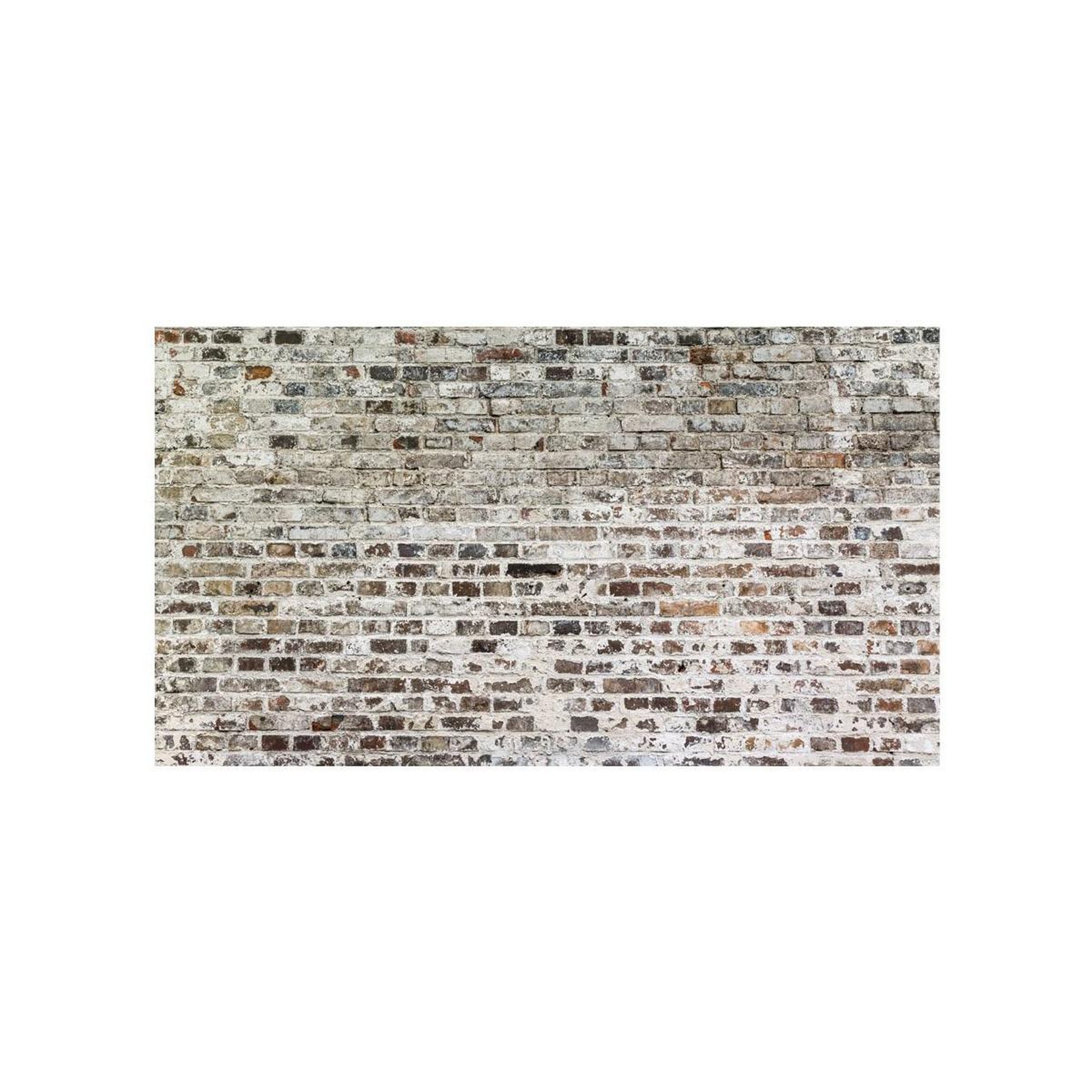Voir la diapositive 2 : Paris Prix Papier peint xxl  walls of time  280x500cm