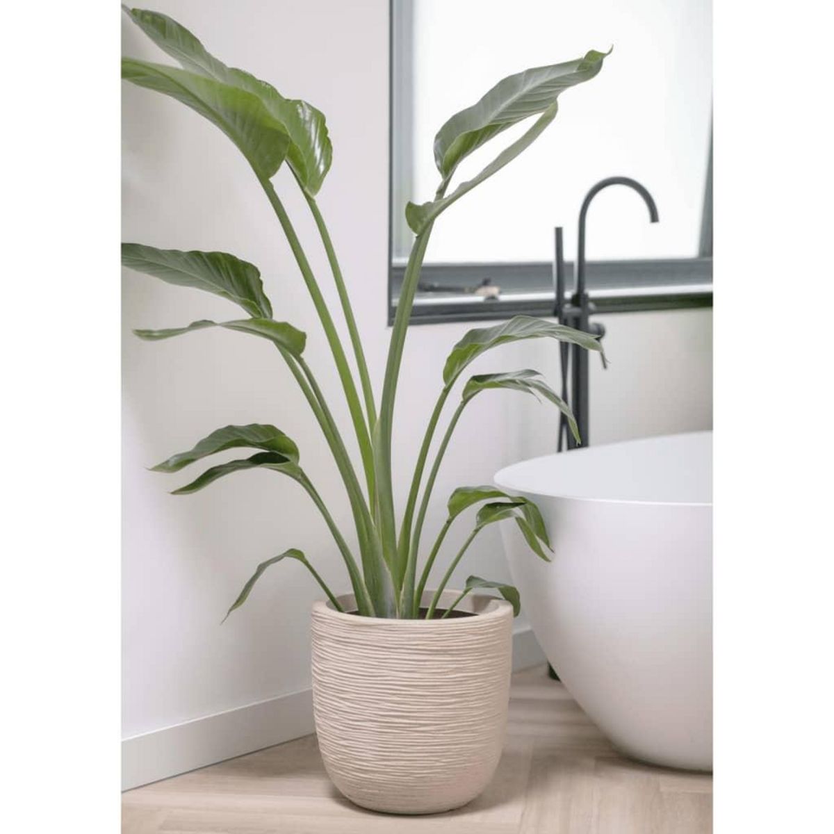 CAPI Capi Pot a fleurs Waste Rib 43x41 cm Beige terrazzo