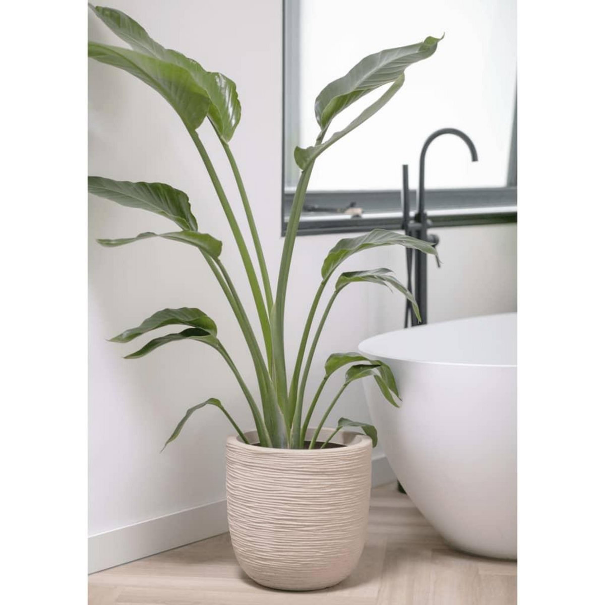 CAPI Capi Pot a fleurs Waste Rib 43x41 cm Beige terrazzo