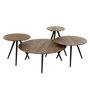 Voir la diapositive 1 : Paris Prix Lot de 4 Tables Basses en Bois  Teck  70cm Naturel