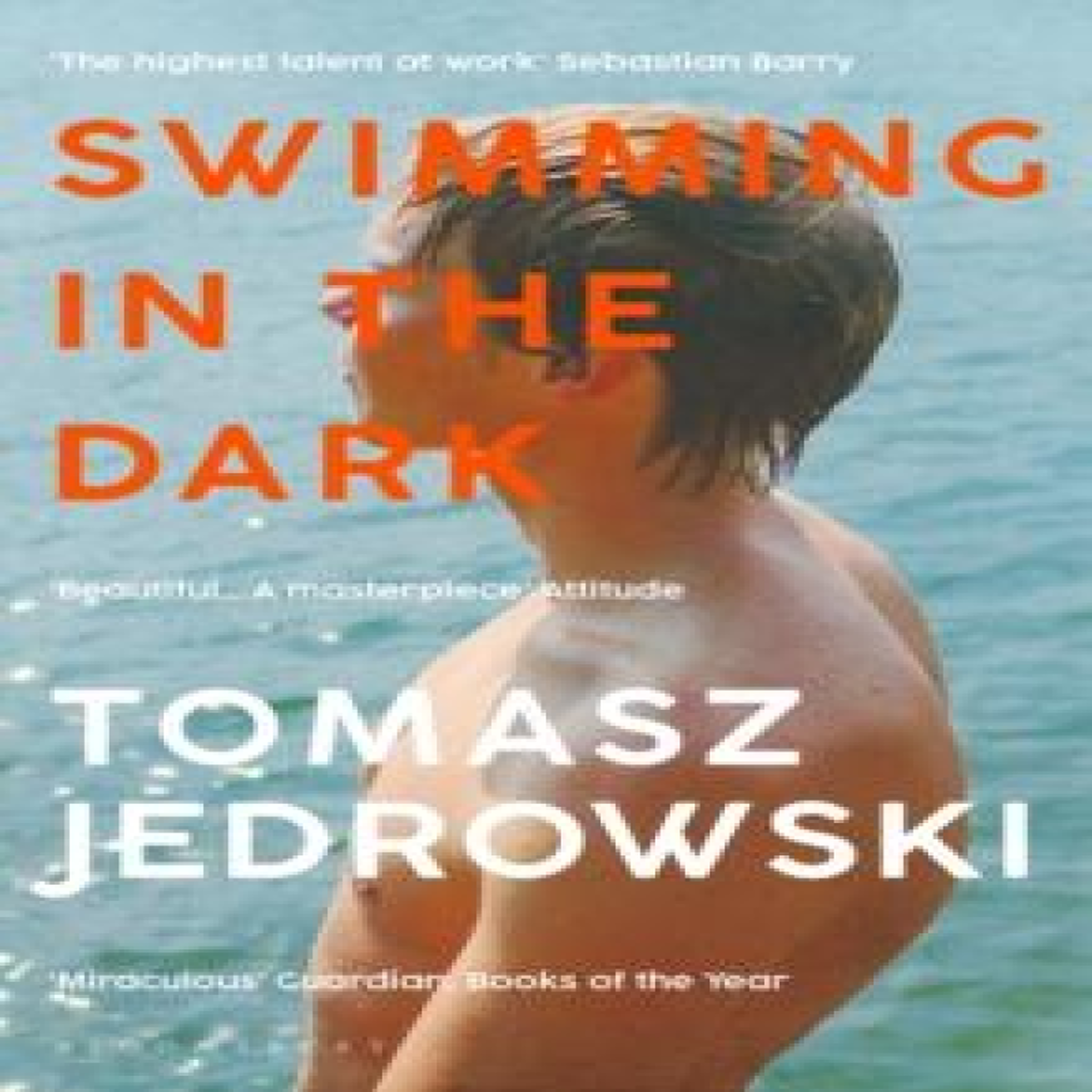 LIVRES Swimming in the Dark : Selected for Dua Lipa's Service95 Book Club 2024