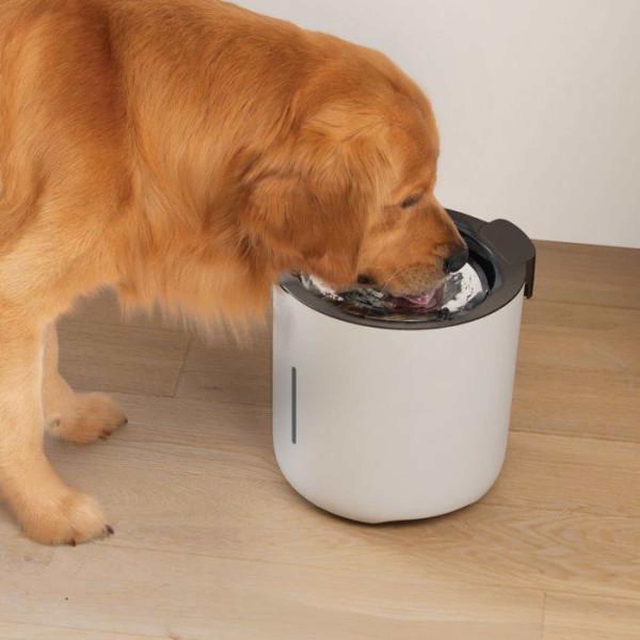Voir la diapositive 3 : ZEUS Fontaine a eau pour chiens - ZEUS - Oasis - Capacité 6 L